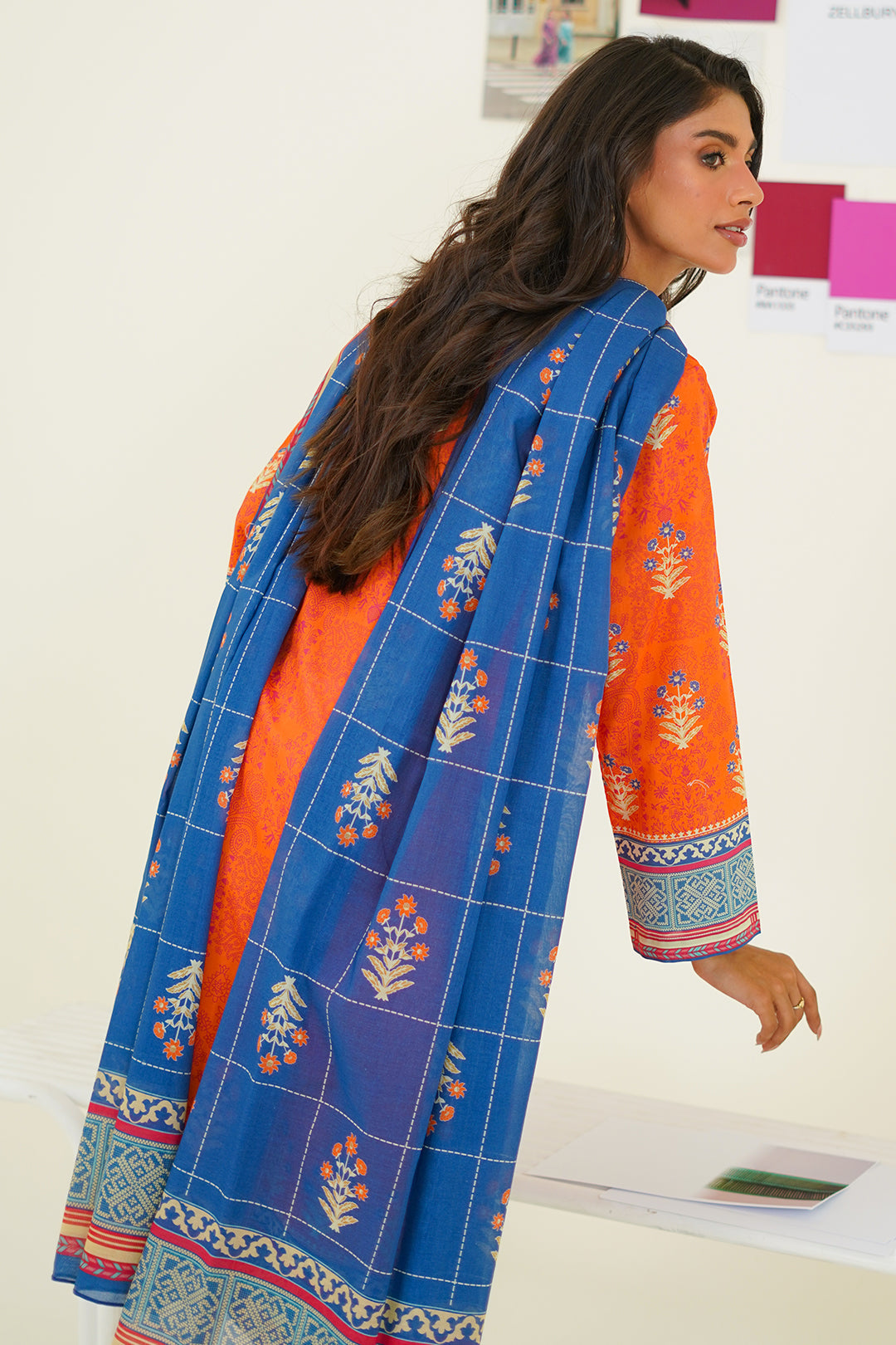 Orange & Blue Ethnic Kurta in - Pakistani Dresses by Malbusaat